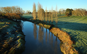 Travel : New Zealand :  Photos : Richard Moore : Photographer